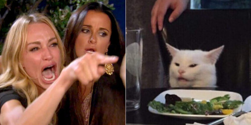 Ok, bon ben puisque c'est comme ça voilà un meme de chat